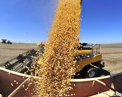 China investirá R$ 7 bilhões na produção de soja em Goiás
