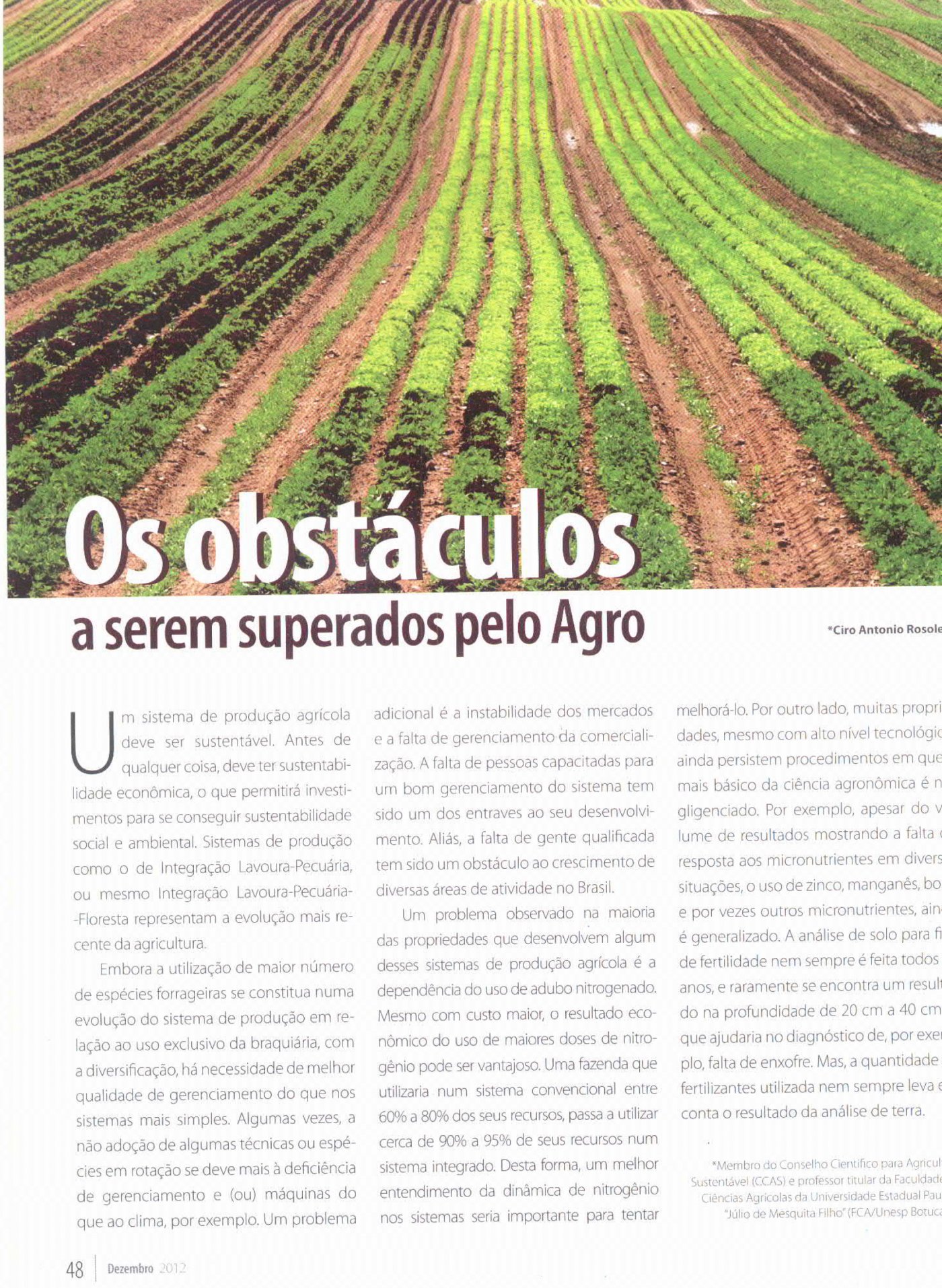 Revista Mercado Rural publica artigo do conselheiro Ciro Rosolem