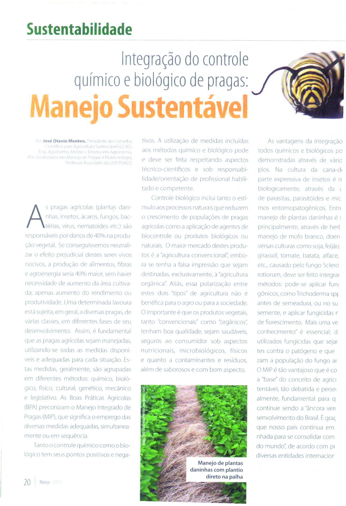 Revista Mercado Rural publica artigo do presidente do CCAS