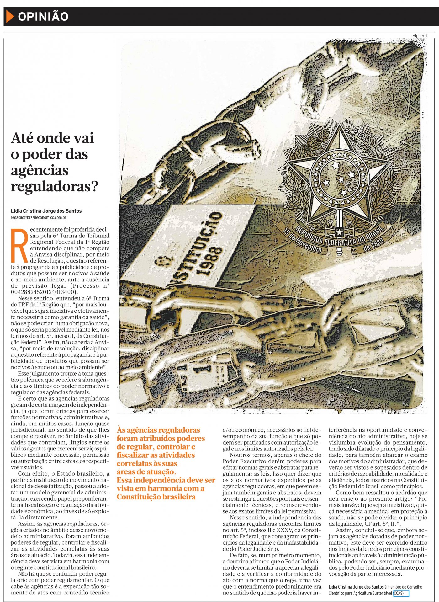 Jornal Brasil Econômico publica artigo de conselheira do CCAS