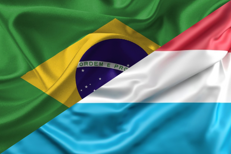 Conselheira do CCAS é nomeada vice-presidente da Câmara de Comércio Brasil-Luxemburgo do Paraná