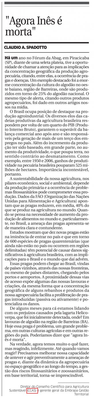 Jornal O Estado do MA publica artigo de membro do CCAS