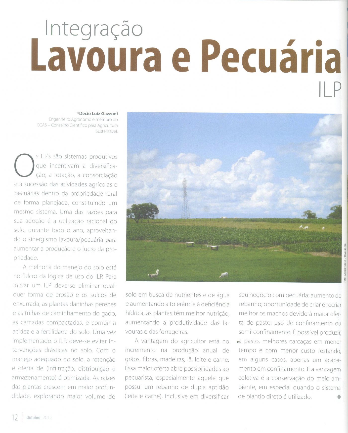 Revista Mercado Rural publica texto de Décio Gazzoni