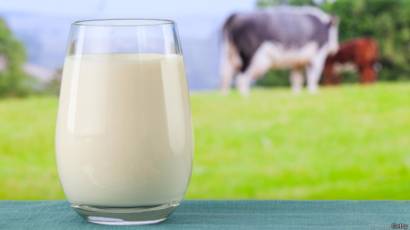 Covid e alimentos: o leite como importante fonte de suprimentos para o combate