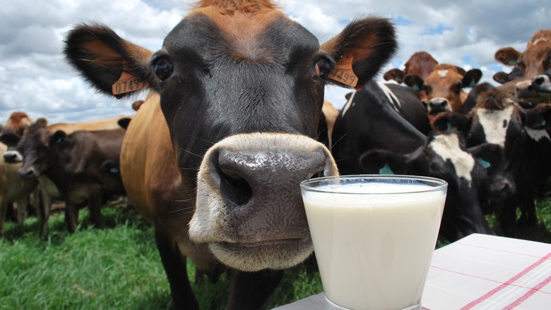 Quando se fale em qualidade de produção leiteira, elas precisam ser mais ouvidas