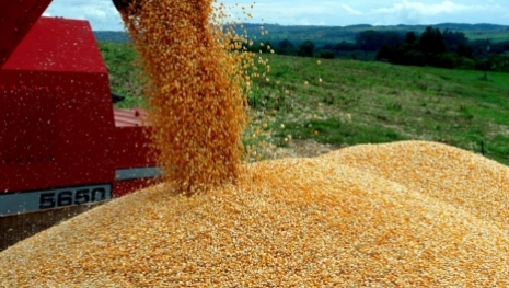 Um panorama mundial da produção de grãos