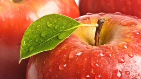 A maçã pegou Adão, será que vai pegar os produtores brasileiros?