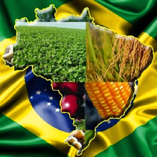 O agronegócio brasileiro visto de fora impõe respeito