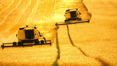Nova guerra do agronegócio global